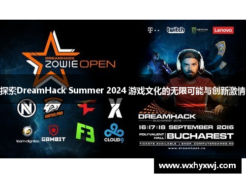 探索DreamHack Summer 2024 游戏文化的无限可能与创新激情