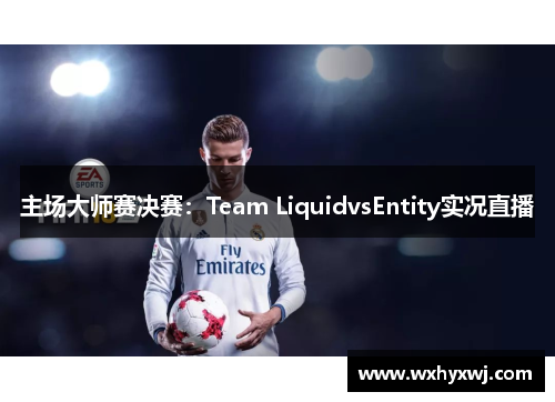 主场大师赛决赛：Team LiquidvsEntity实况直播